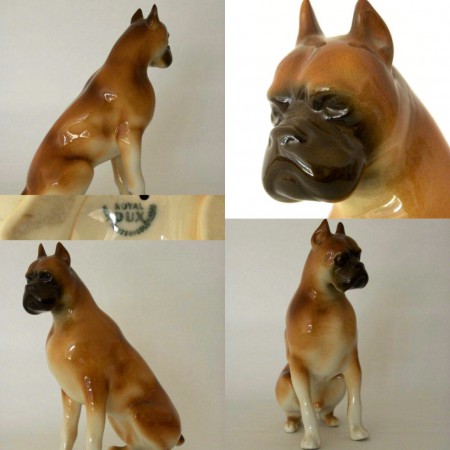 Nemecký boxer Royal Dux (Deutsche boxer, German boxer)