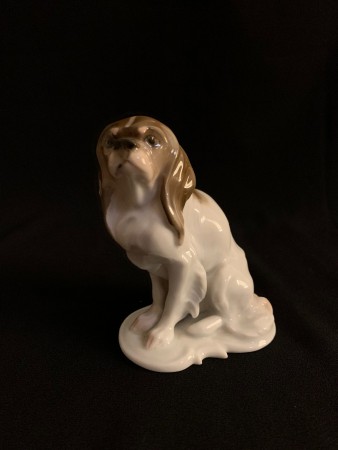 Rosenthal cavalier king charles spaniel