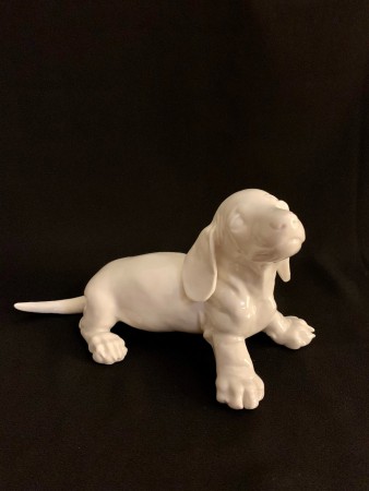 Nymphenburg dachshund puppy