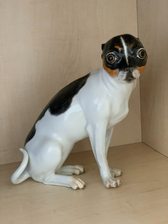 Meissen Dánsky pes (Danish dog)